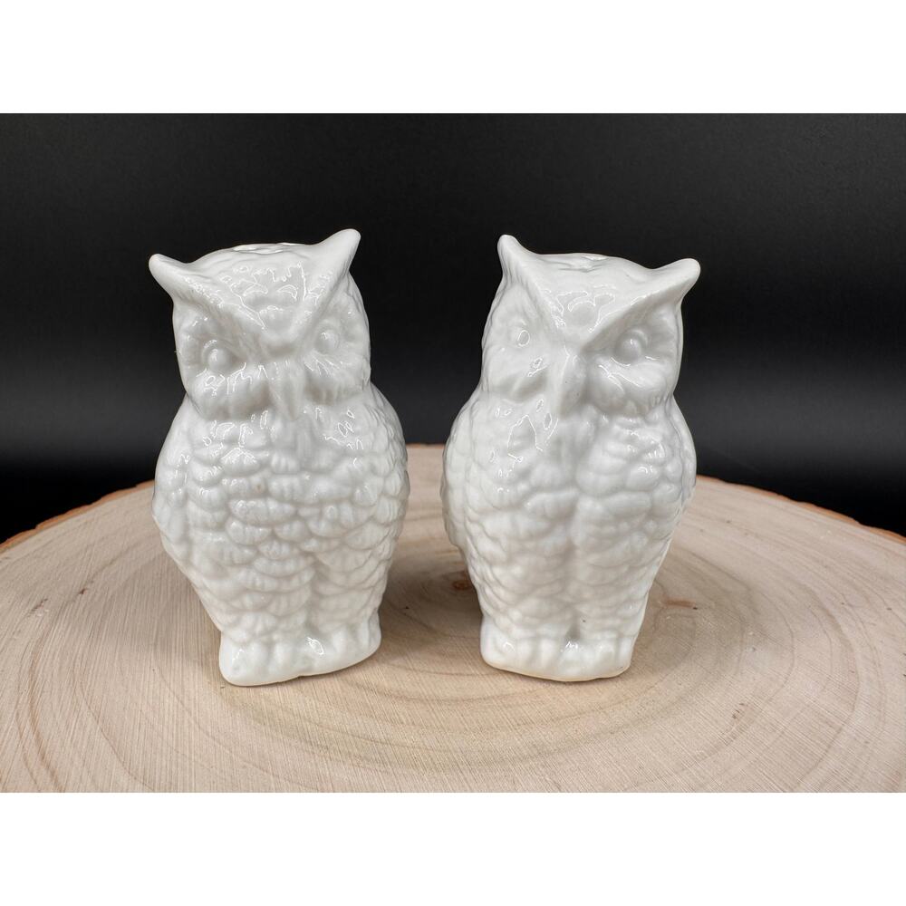 Vintage Owl Salt and Pepper Shakers Set Taiwan | White Ceramic Owl Figurines